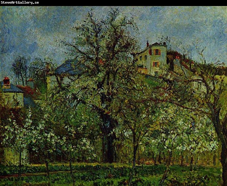 Camille Pissarro Obstgarten mit bluhenden Baumen